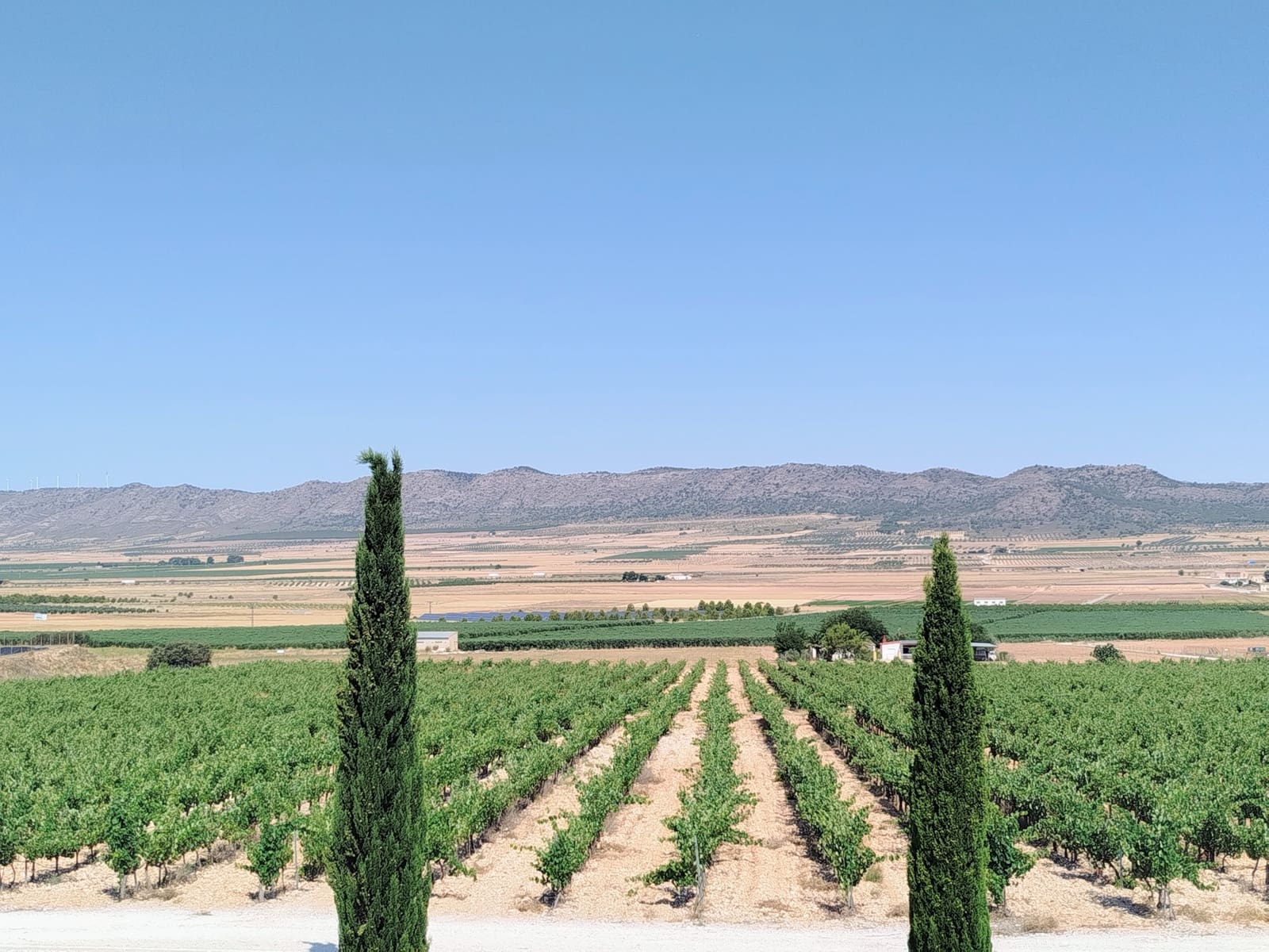 Finca/Casa Rural de 11 habitaciones en Yecla en venta con piscina garaje - 1.700.000 € (Ref: 9980097)