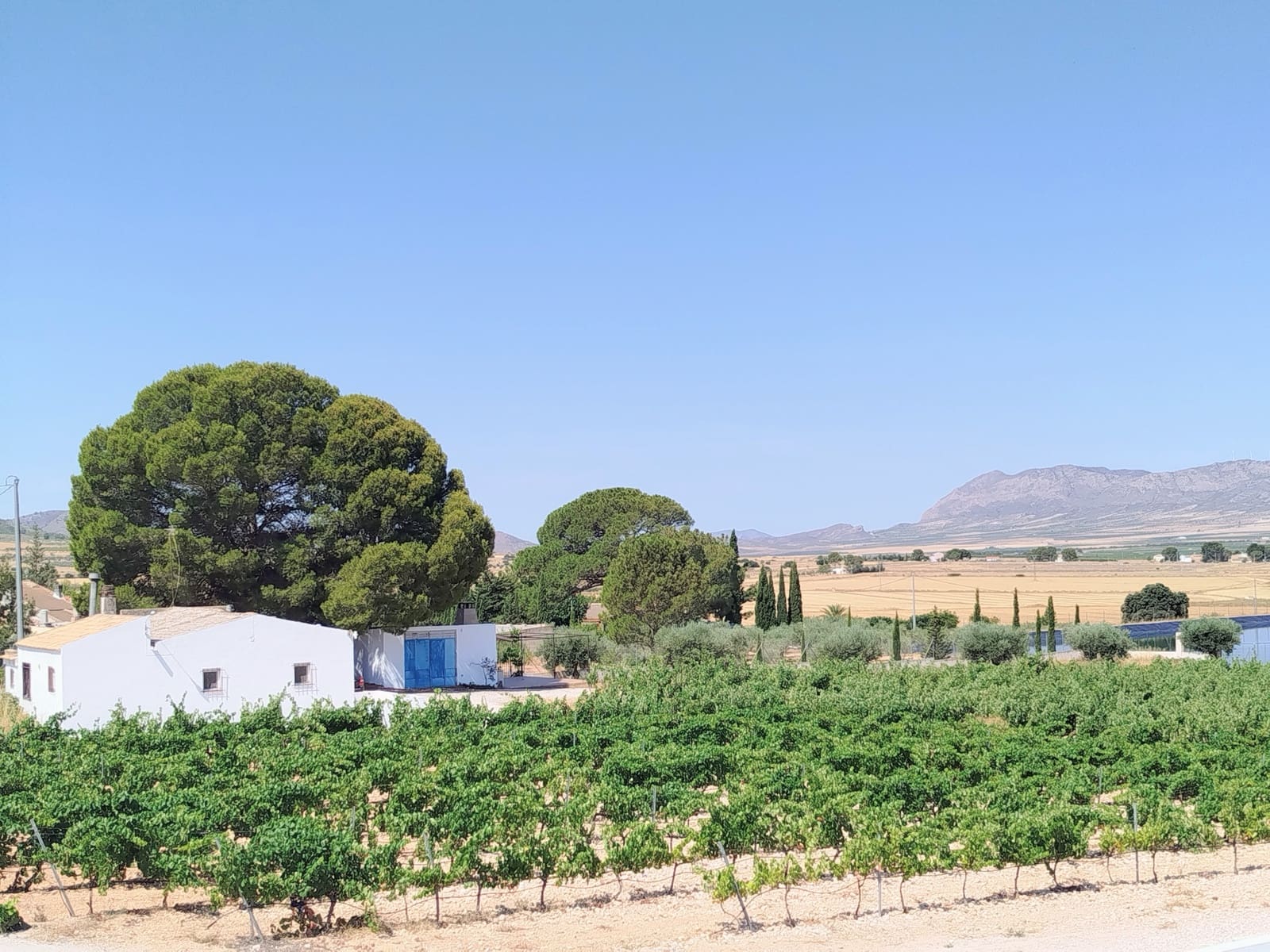 Finca/Casa Rural de 11 habitaciones en Yecla en venta con piscina garaje - 1.700.000 € (Ref: 9980097)