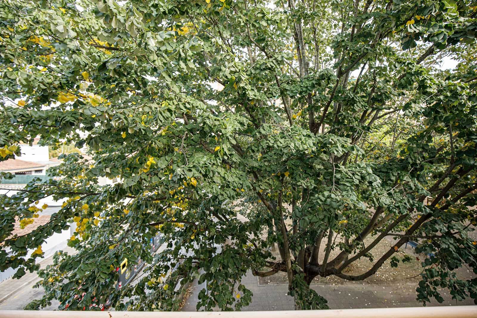 4 soveværelse Byhus til salg i Salt med garage - € 287.200 (Ref: 9483976)