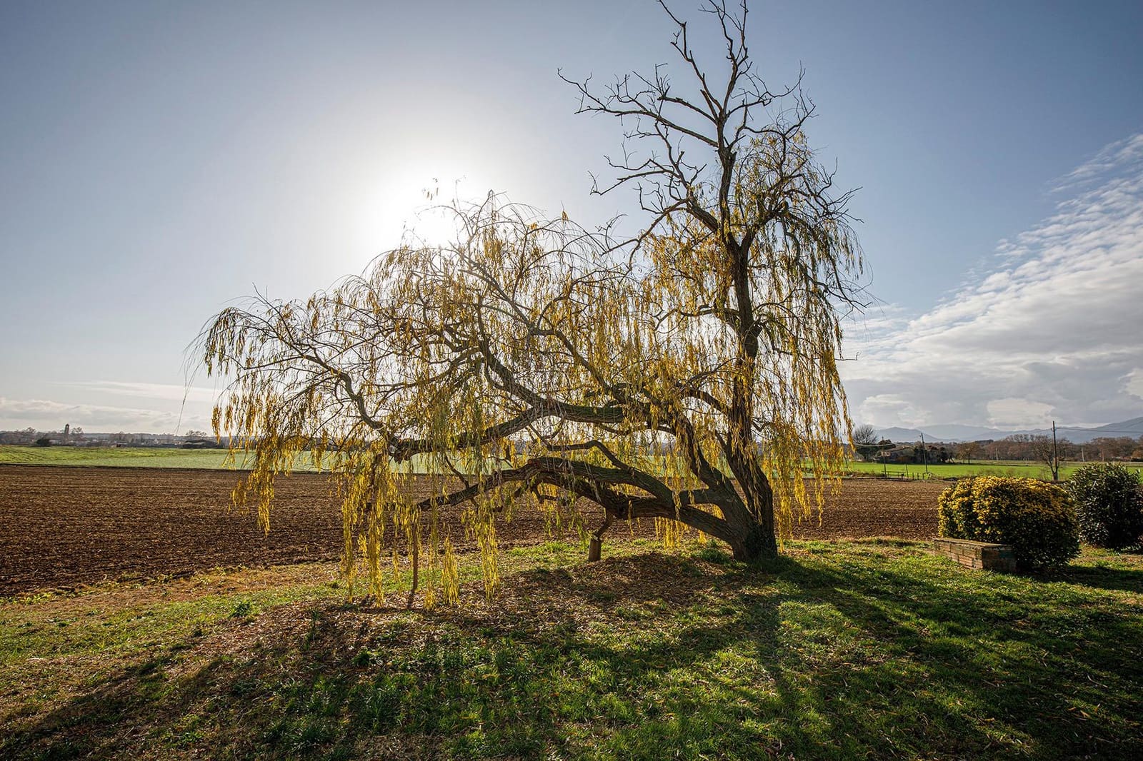 Finca/Casa Rural de 5 habitaciones en Vilobí d'Onyar en alquiler con garaje - 1.900 € (Ref: 9488402)