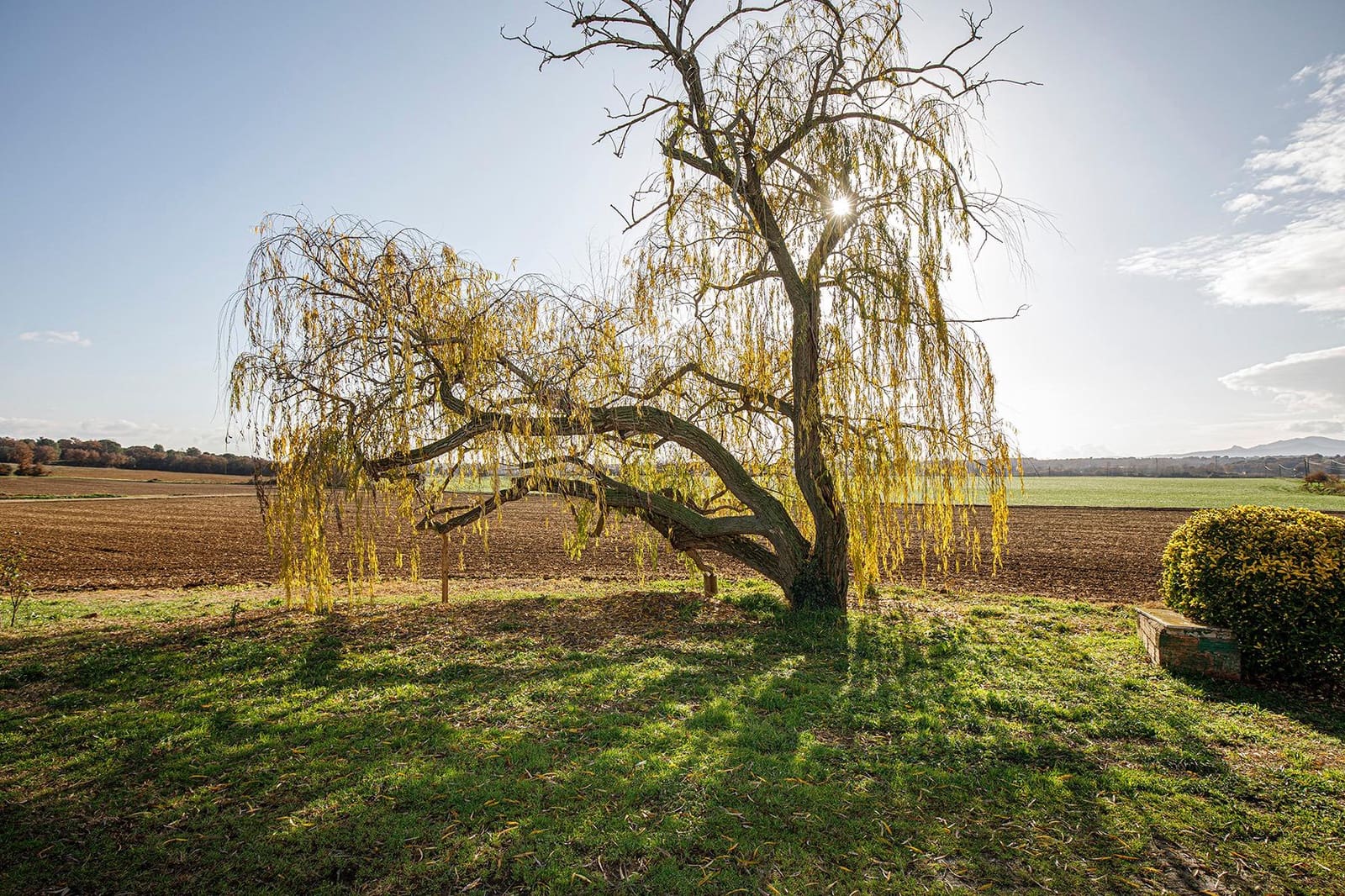 Finca/Casa Rural de 5 habitaciones en Vilobí d'Onyar en alquiler con garaje - 1.900 € (Ref: 9488402)