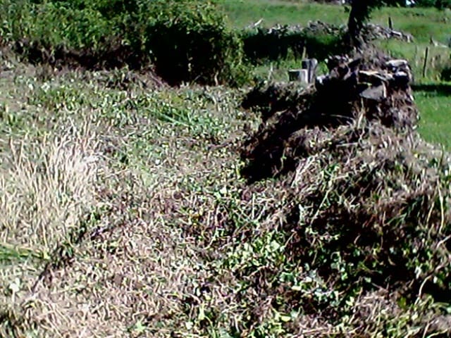 Ruína para venda em O Vicedo - 9 000 € (Ref: 9109335)