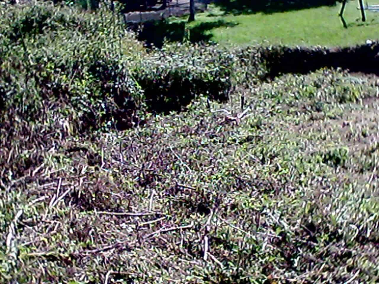 Ruína para venda em O Vicedo - 9 000 € (Ref: 9109335)