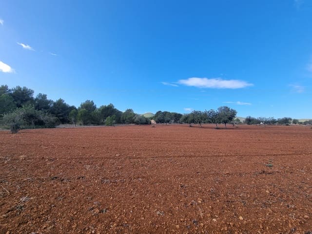 Byggegrund til salg i Santa Gertrudis de Fruitera, Santa Eulalia / Santa Eularia - € 1.600.000 (Ref: 9101718)