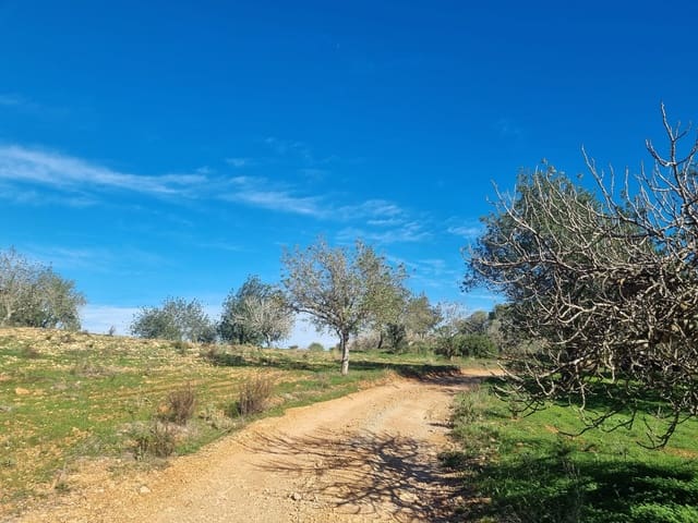 Byggegrund til salg i Santa Gertrudis de Fruitera, Santa Eulalia / Santa Eularia - € 1.400.000 (Ref: 9101719)