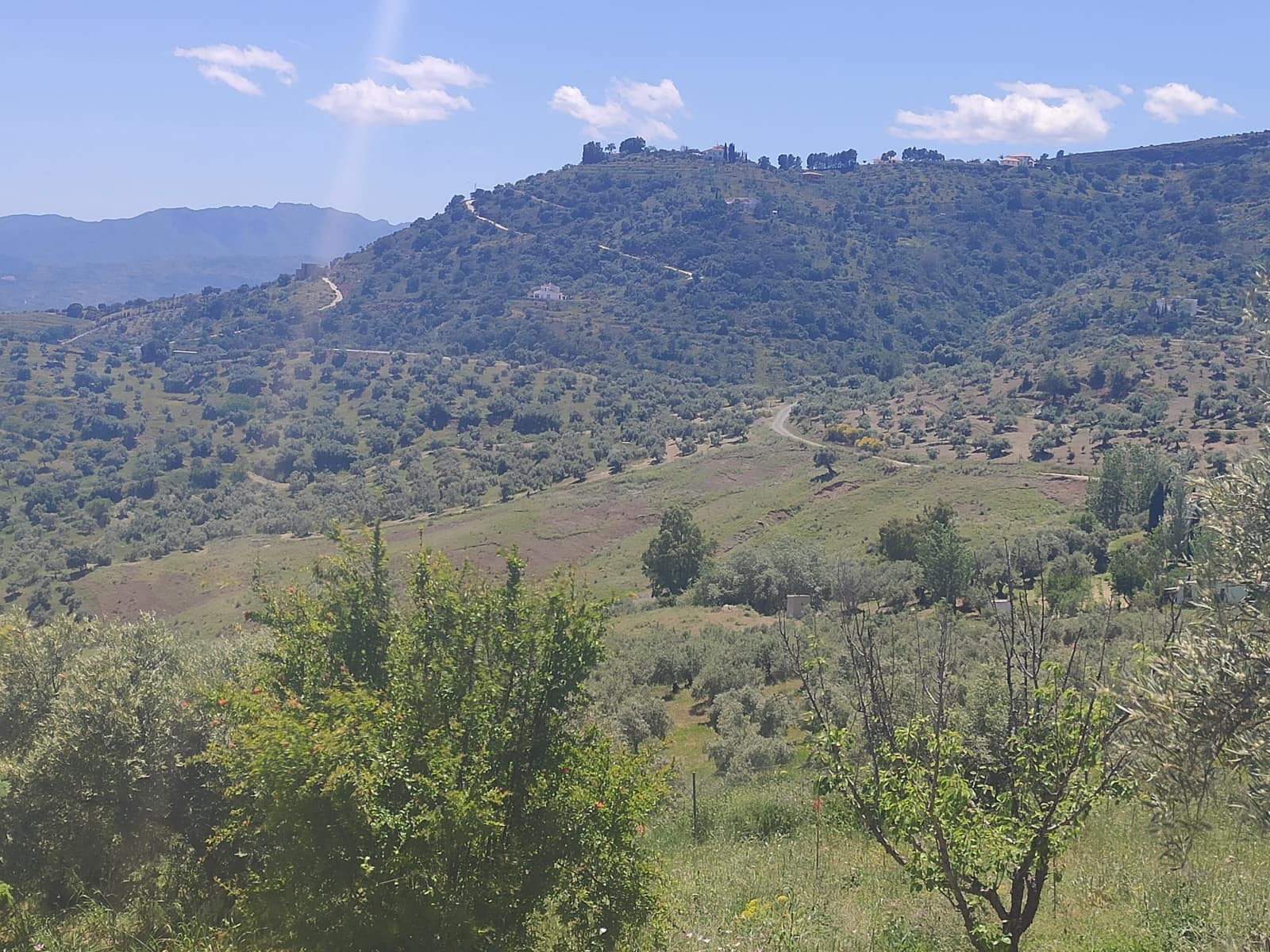 3 sypialnia Finka/Dom wiejski na sprzedaż w Casarabonela z basenem - 645 000 € (Ref: 9095786)