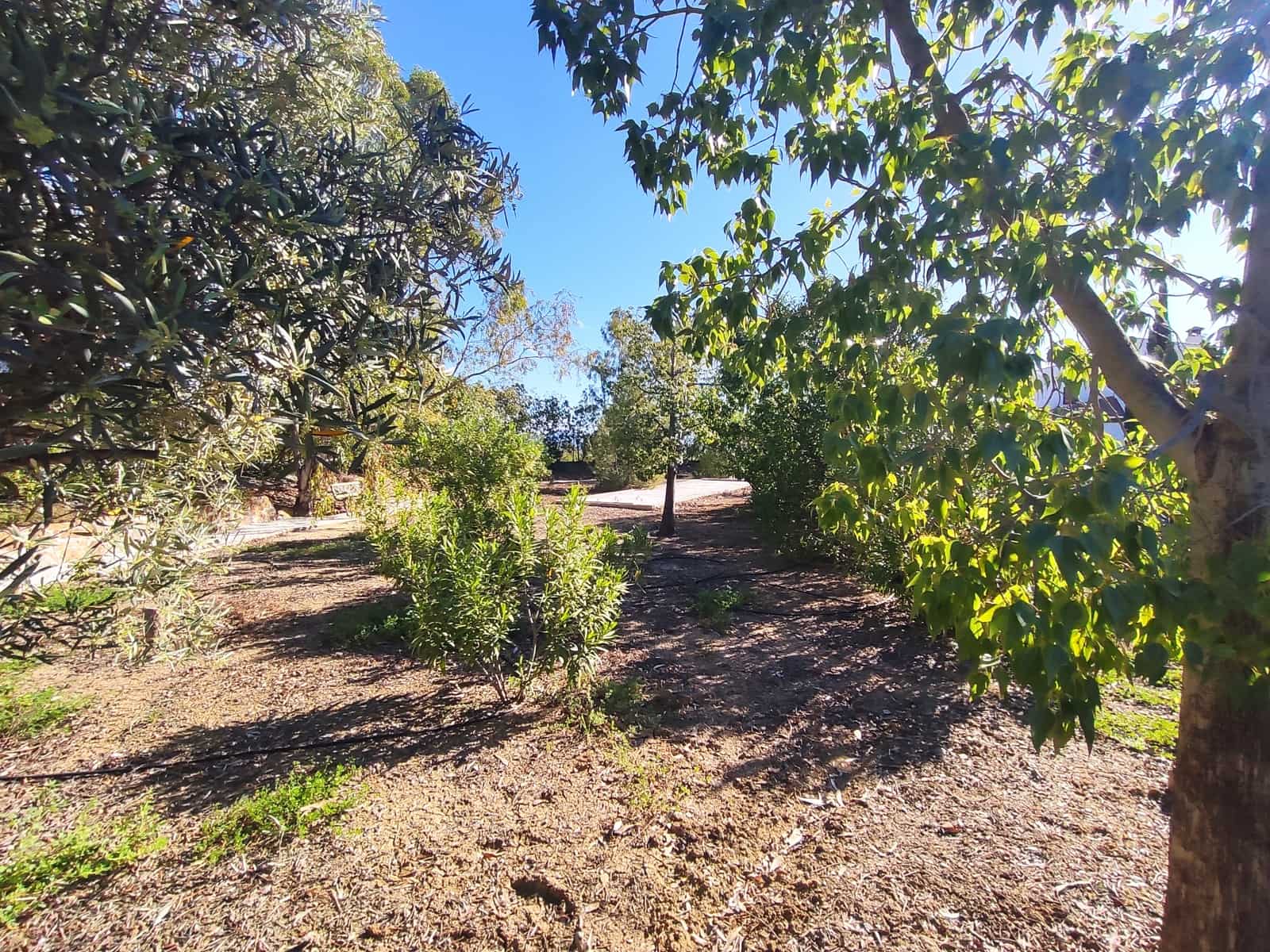 3 sypialnia Finka/Dom wiejski na sprzedaż w Casarabonela z basenem - 645 000 € (Ref: 9095786)