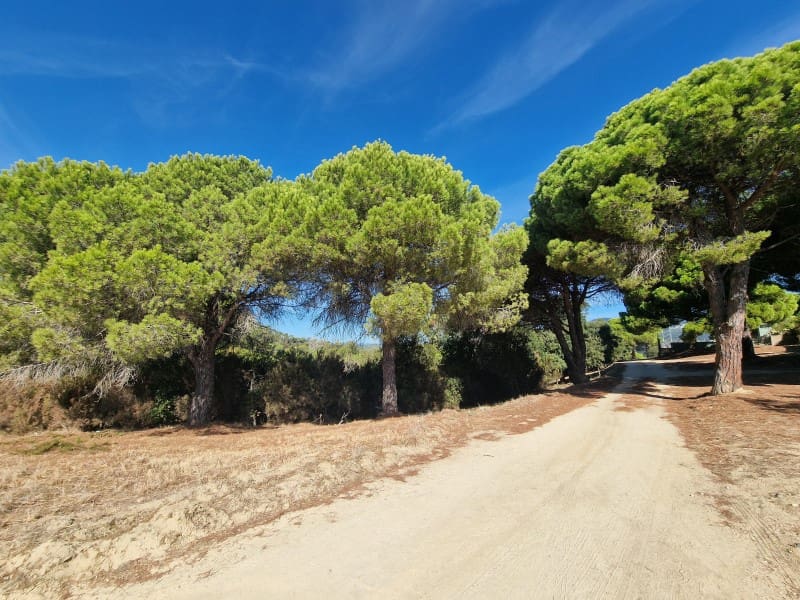 Byggetomt til salgs i Sant Cebria de Vallalta - € 125 000 (Ref: 10078122)