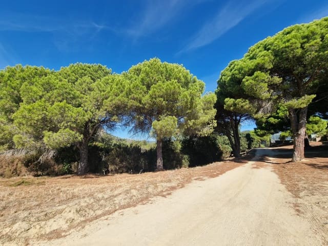 Terreno para Construção para venda em Sant Cebrià de Vallalta - 125 000 € (Ref: 10078122)