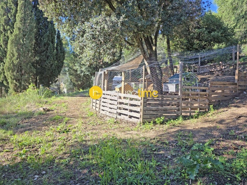 Undeveloped Land for sale in Vallromanes - € 276,000 (Ref: 10148701)