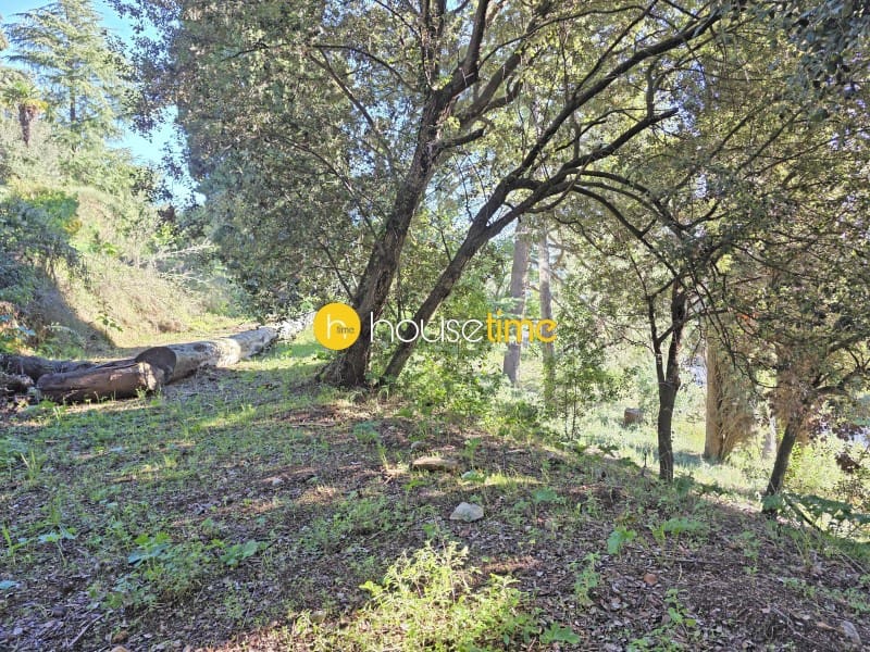 Undeveloped Land for sale in Vallromanes - € 276,000 (Ref: 10148701)