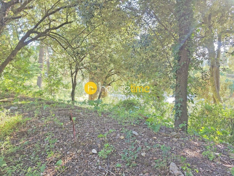 Undeveloped Land for sale in Vallromanes - € 276,000 (Ref: 10148701)