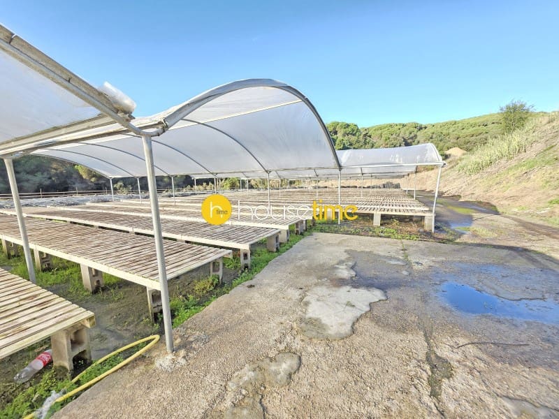 Terreno/Finca Rústica en Sant Cebrià de Vallalta en venta - 380.000 € (Ref: 9483573)