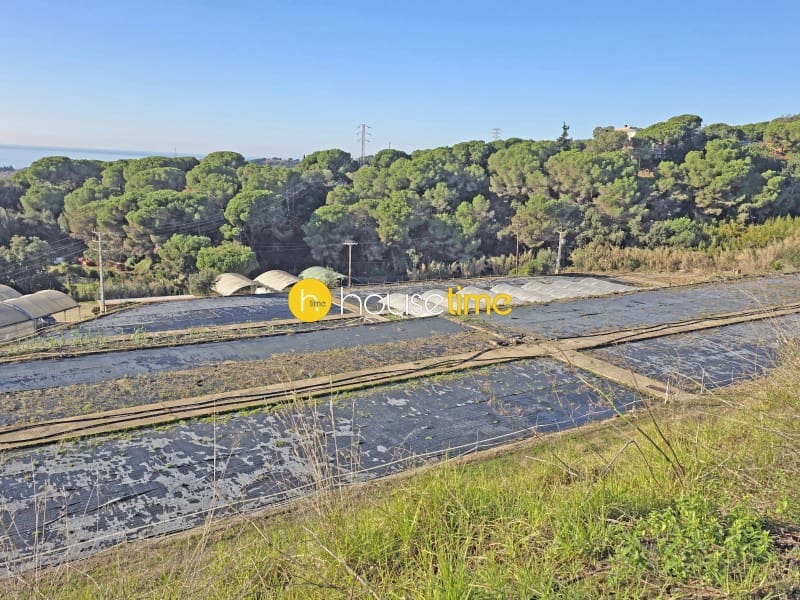 Terreno/Finca Rústica en Sant Cebrià de Vallalta en venta - 380.000 € (Ref: 9483573)