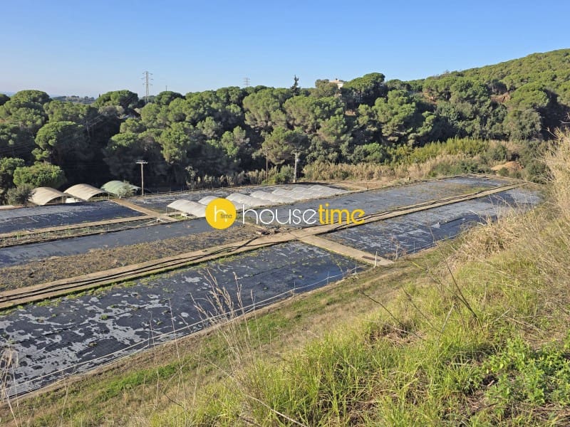 Terreno/Finca Rústica en Sant Cebrià de Vallalta en venta - 380.000 € (Ref: 9483573)