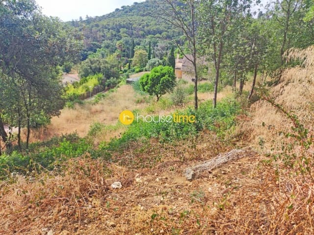 Solar/Parcela en Vallromanes en venta - 290.000 € (Ref: 9551916)