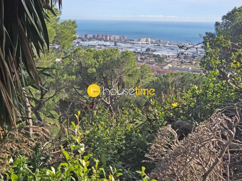 Teren niezagospodarowany na sprzedaż w Premia de Dalt - 425 000 € (Ref: 9551917)