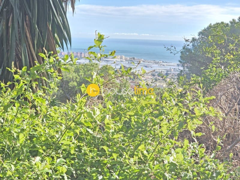 Teren niezagospodarowany na sprzedaż w Premia de Dalt - 425 000 € (Ref: 9551917)