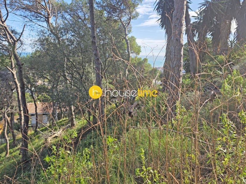 Teren niezagospodarowany na sprzedaż w Premia de Dalt - 425 000 € (Ref: 9551917)