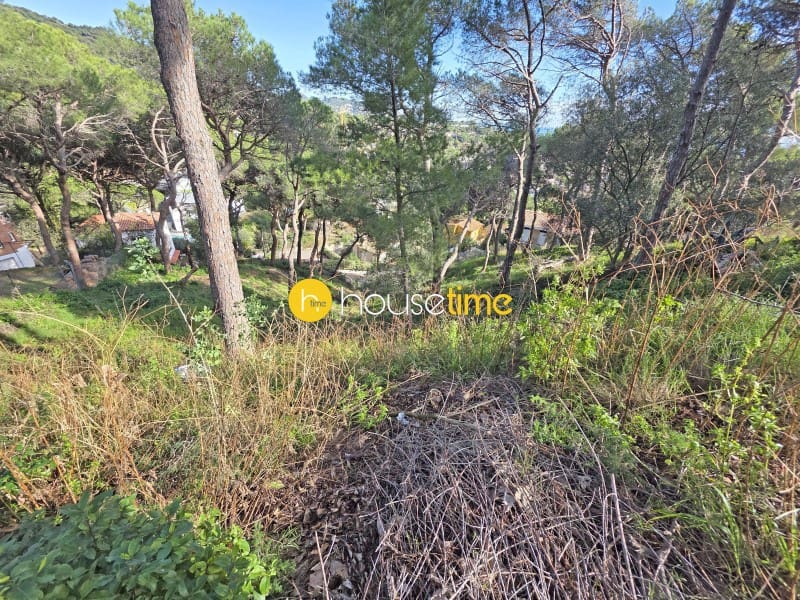 Teren niezagospodarowany na sprzedaż w Premia de Dalt - 425 000 € (Ref: 9551917)