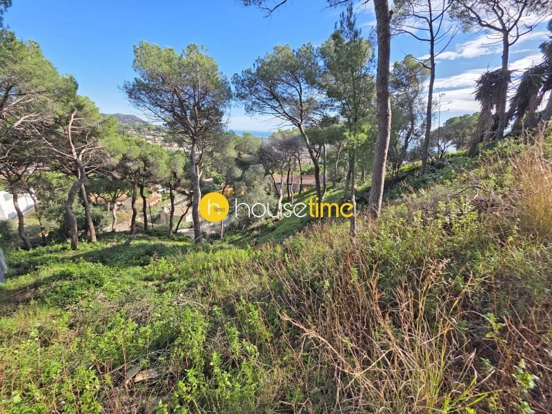 Teren niezagospodarowany na sprzedaż w Premia de Dalt - 425 000 € (Ref: 9551917)