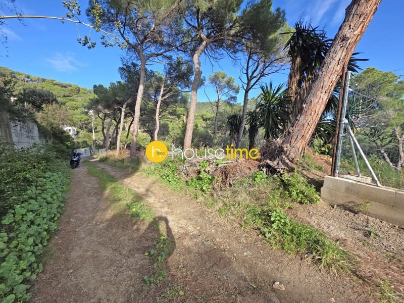 Teren niezagospodarowany na sprzedaż w Premia de Dalt - 425 000 € (Ref: 9551917)