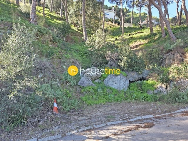 Teren niezagospodarowany na sprzedaż w Premià de Dalt - 425 000 € (Ref: 9551917)