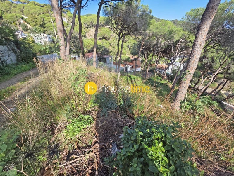 Teren niezagospodarowany na sprzedaż w Premia de Dalt - 425 000 € (Ref: 9551917)