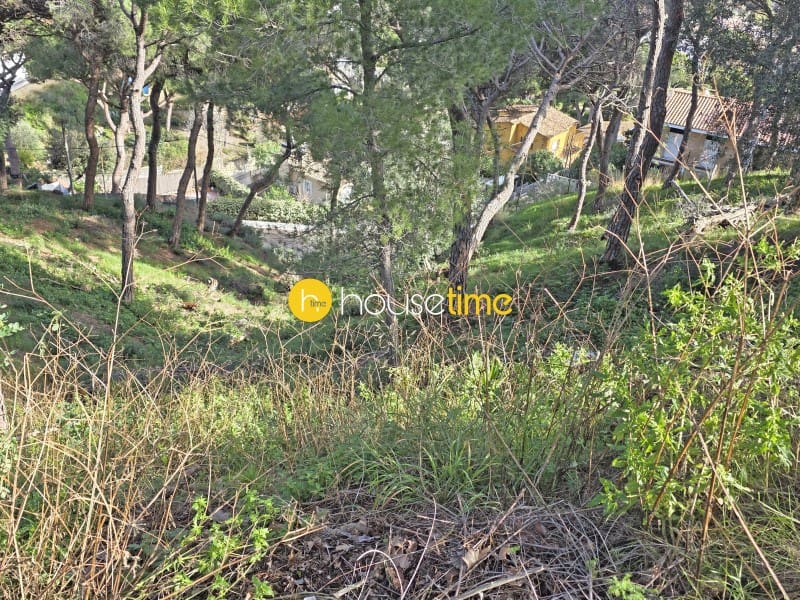 Teren niezagospodarowany na sprzedaż w Premia de Dalt - 425 000 € (Ref: 9551917)