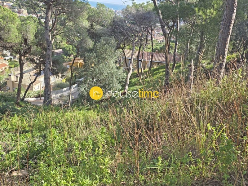 Teren niezagospodarowany na sprzedaż w Premia de Dalt - 425 000 € (Ref: 9551917)