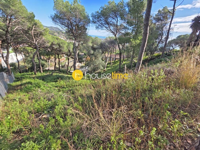 Teren niezagospodarowany na sprzedaż w Premia de Dalt - 425 000 € (Ref: 9551917)