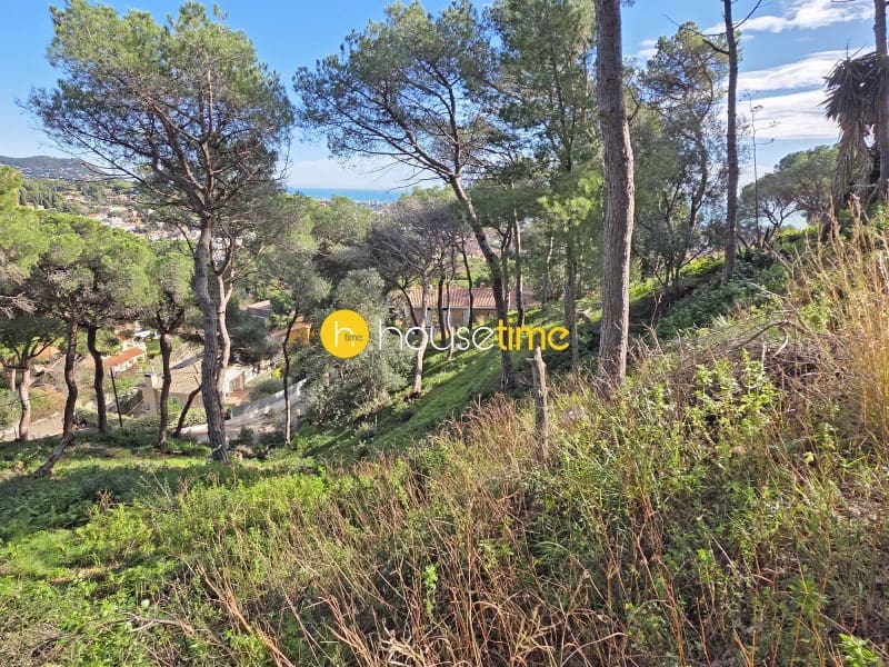 Teren niezagospodarowany na sprzedaż w Premia de Dalt - 425 000 € (Ref: 9551917)