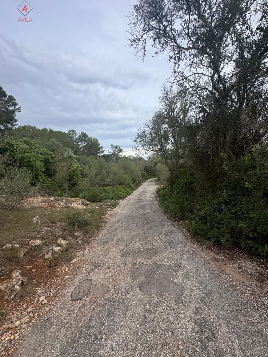 Mark till salu i Manacor - 197 000 € (Ref: 9999248)