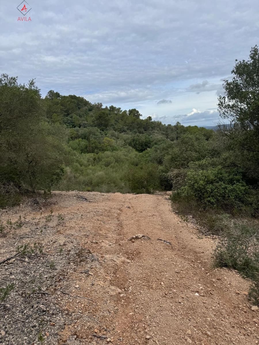 Mark till salu i Manacor - 197 000 € (Ref: 9999248)