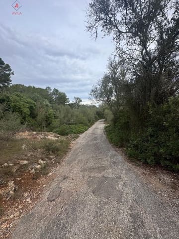 Mark till salu i Manacor - 197 000 € (Ref: 9999248)
