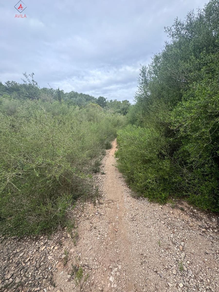 Mark till salu i Manacor - 197 000 € (Ref: 9999248)