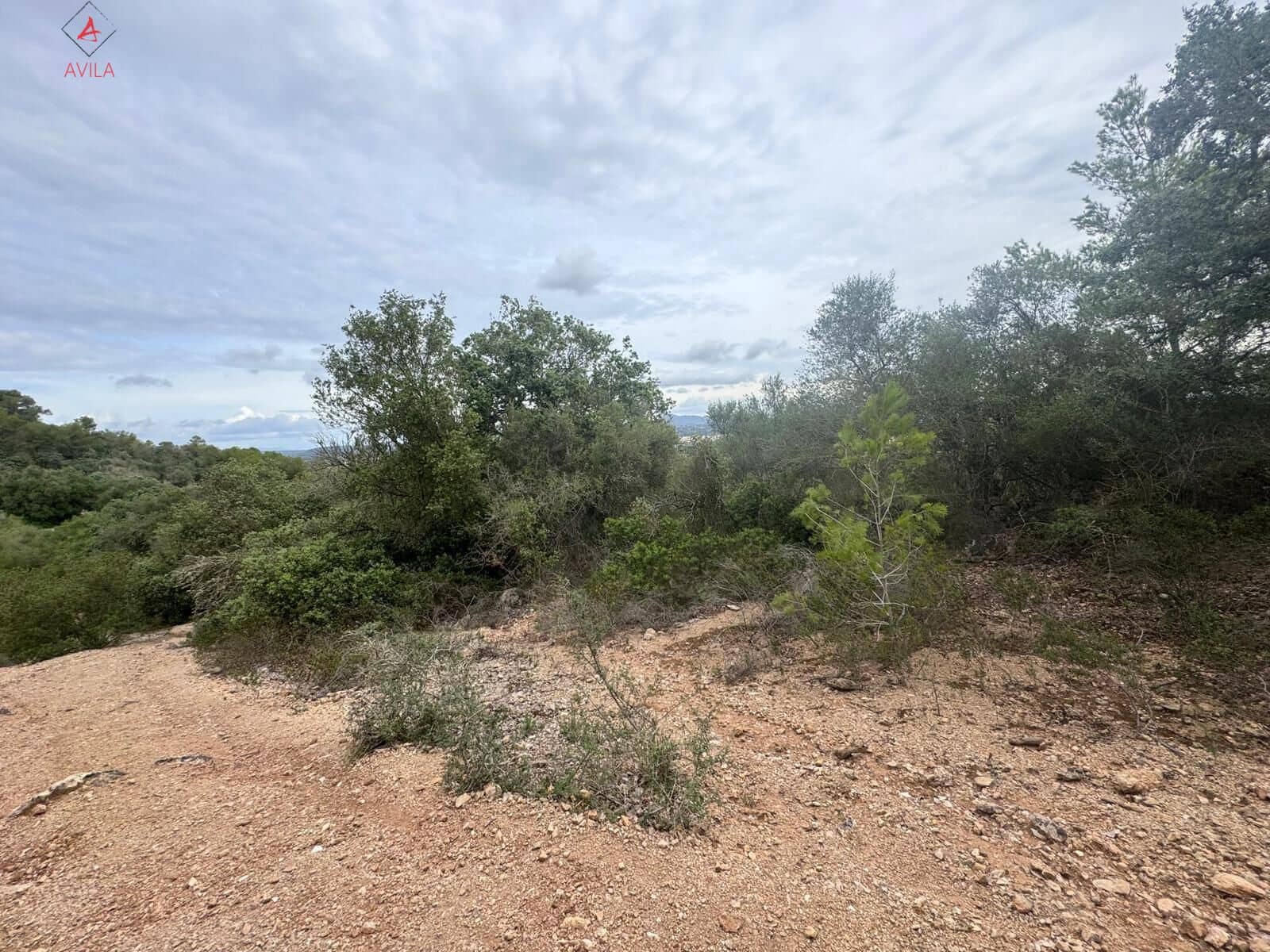 Mark till salu i Manacor - 197 000 € (Ref: 9999248)