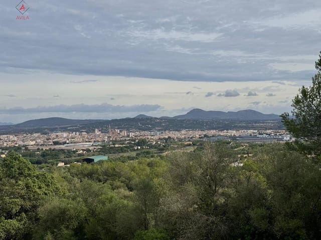 Mark till salu i Manacor - 197 000 € (Ref: 9999248)