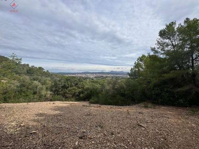 Mark till salu i Manacor - 197 000 € (Ref: 9999248)