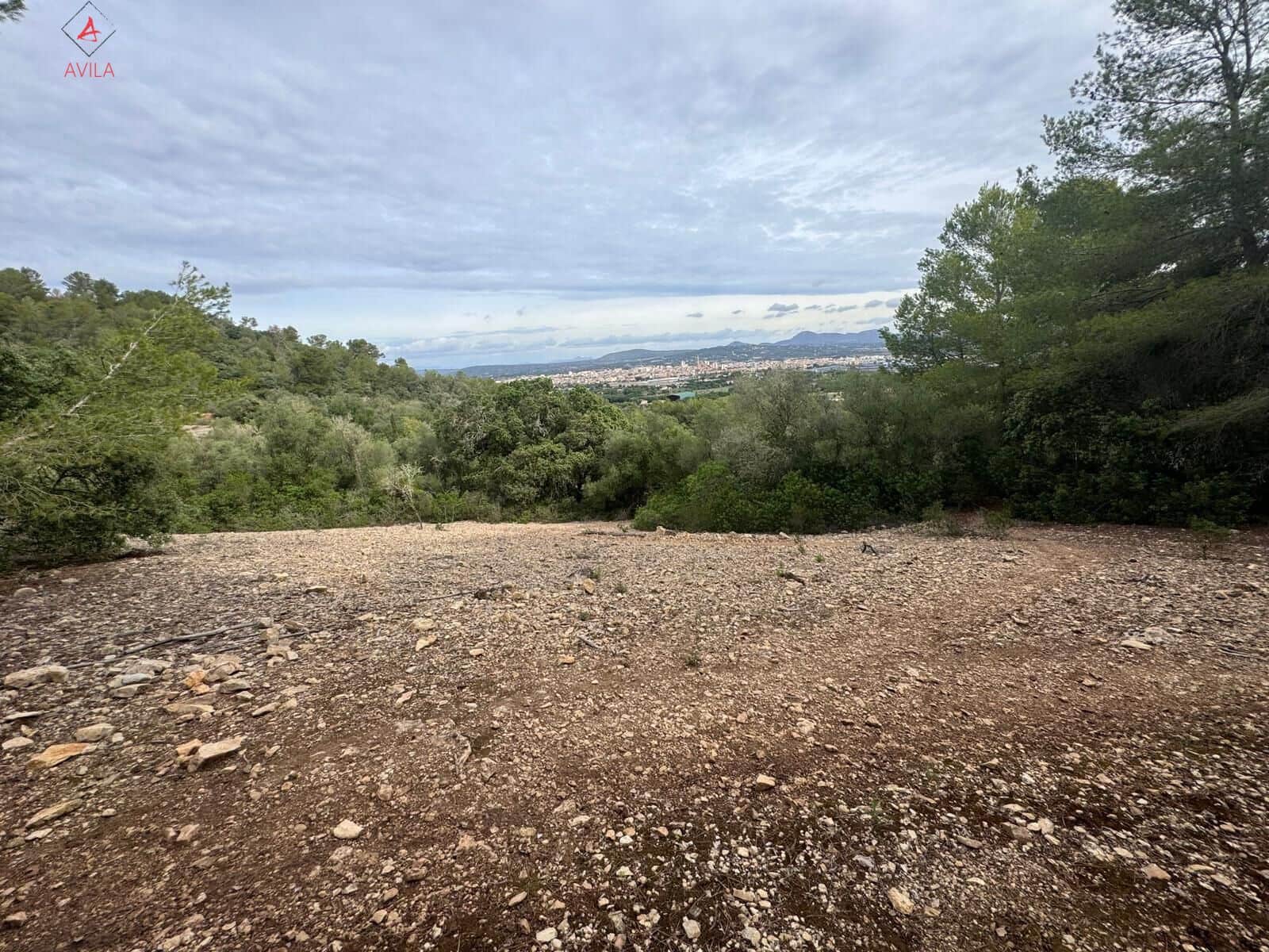 Mark till salu i Manacor - 197 000 € (Ref: 9999248)