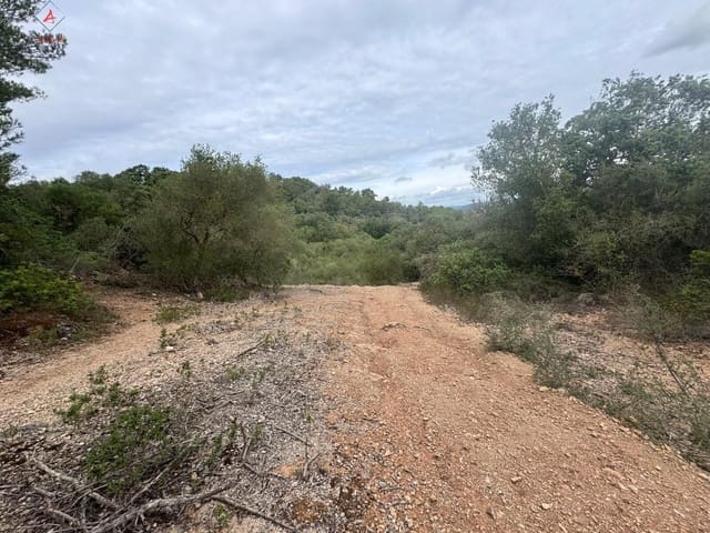 Mark till salu i Manacor - 197 000 € (Ref: 9999248)