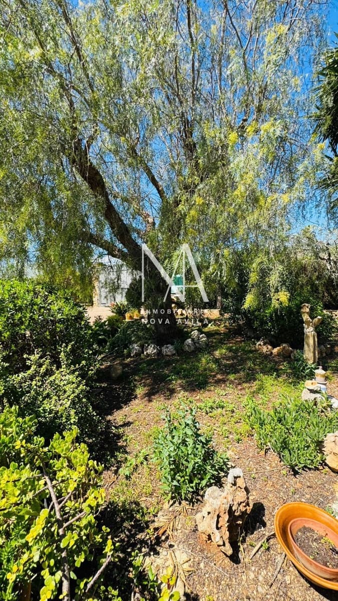3 chambre Finca/Maison de Campagne à vendre à Inca avec piscine - 584 000 € (Ref: 9999262)