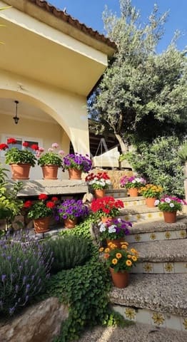 5 sypialnia Dom szeregowy na sprzedaż w Palma de Mallorca z garażem - 596 999 € (Ref: 9999267)