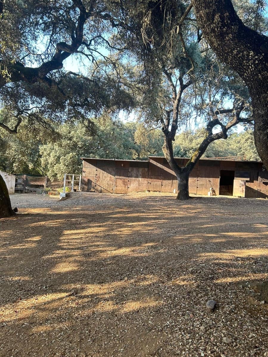 5 soveværelse Finca/Landehus til salg i Constantina med swimmingpool - € 1.600.000 (Ref: 9110350)