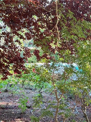 5 sypialnia Finka/Dom wiejski na sprzedaż w Constantina z basenem - 1 475 000 € (Ref: 9110350)