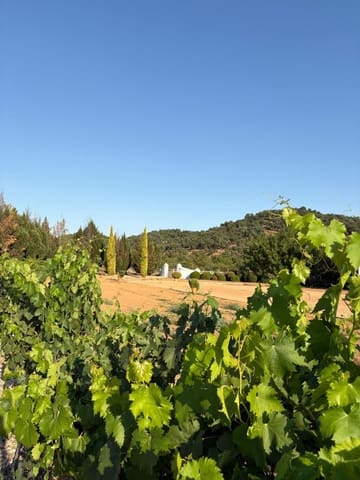 5 chambre Finca/Maison de Campagne à vendre à Constantina avec piscine - 1 475 000 € (Ref: 9110350)