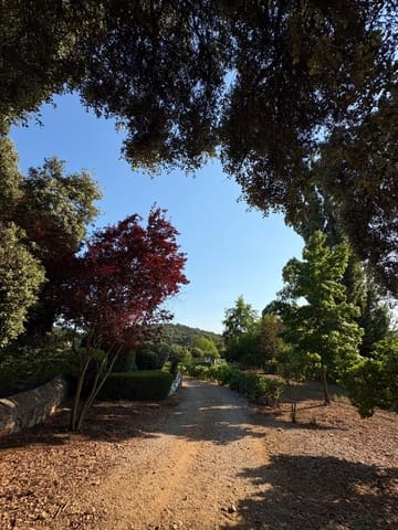 5 chambre Finca/Maison de Campagne à vendre à Constantina avec piscine - 1 475 000 € (Ref: 9110350)