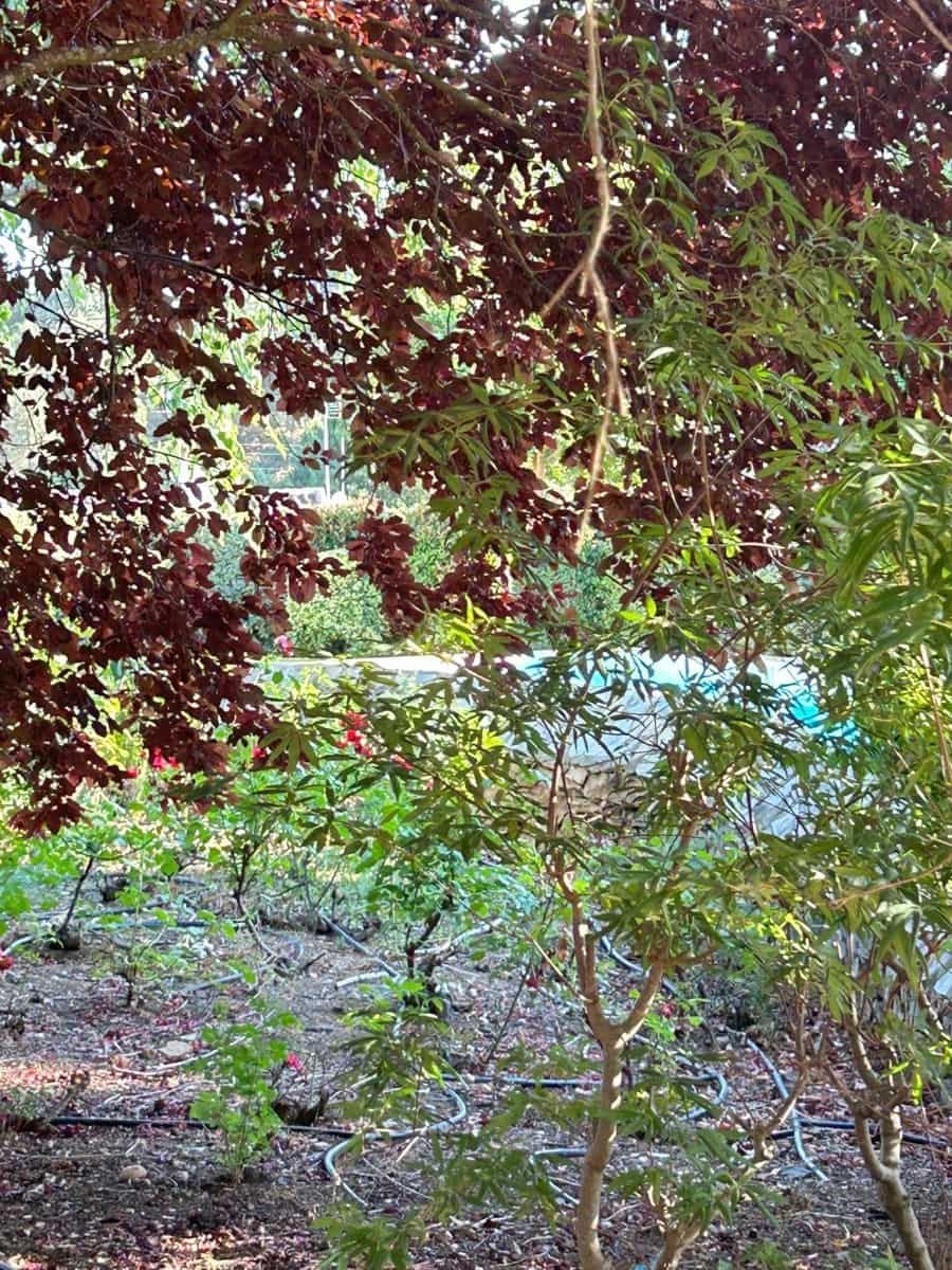 5 Zimmer Finca/Landgut zu verkaufen in Constantina mit Pool - 1.475.000 € (Ref: 9110350)