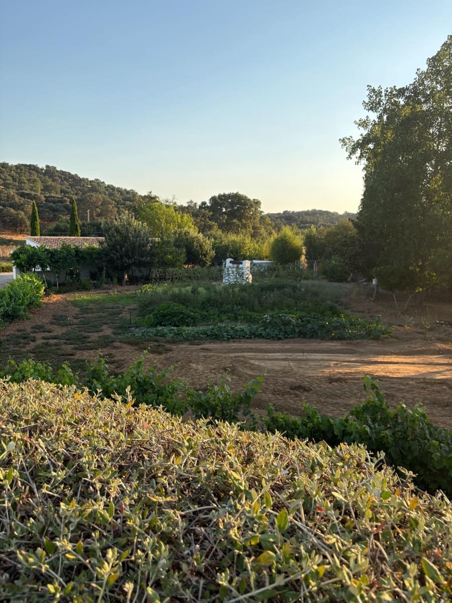 5 Zimmer Finca/Landgut zu verkaufen in Constantina mit Pool - 1.475.000 € (Ref: 9110350)