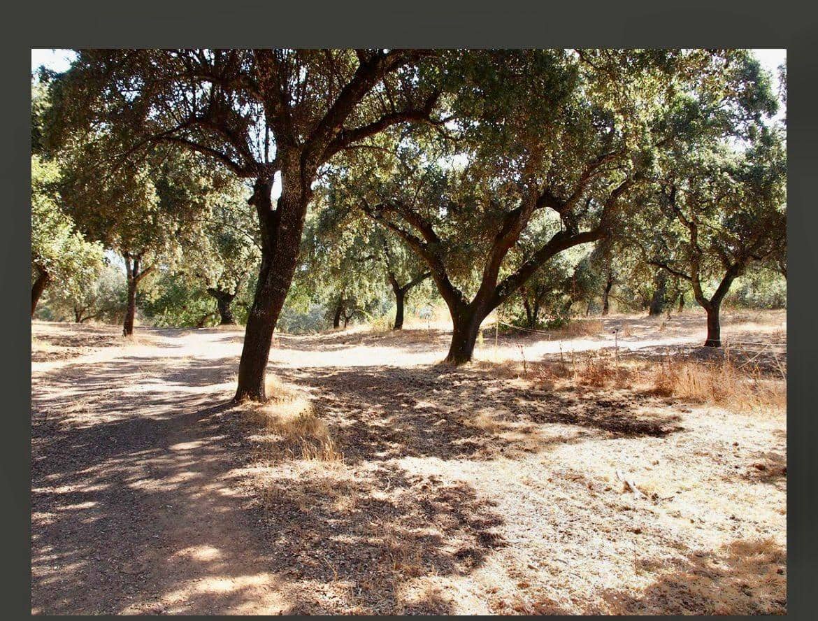 5 Zimmer Finca/Landgut zu verkaufen in Constantina mit Pool - 1.475.000 € (Ref: 9110350)